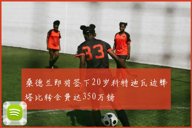 桑德兰即将签下20岁科特迪瓦边锋塔比转会费达350万镑